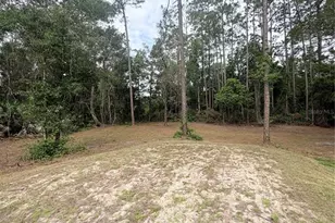 2132 Lancewood St, Bunnell, FL 32110 - Photo 37