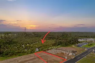 53 Coronado Rd, Flagler Beach, FL 32136 - Photo 1