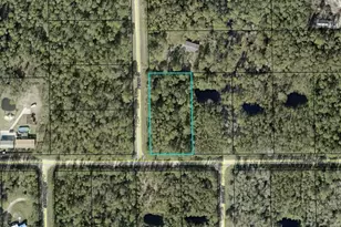 5118 Willow Ln, Bunnell, FL 32110 - Photo 1