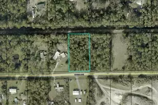 5824 Mango Ave, Bunnell, FL 32110 - Photo 1