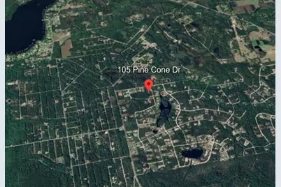 105 Pine Cone Drive, Georgetown, FL 32139 - Photo 7