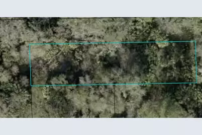 Sherman Street, Bunnell, FL 32110 - Photo 1