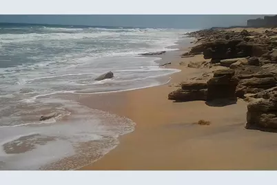 35 Smiling Fish Lane, Palm Coast, FL 32137 - Photo 81