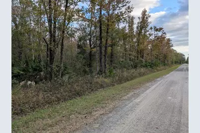 10655 Turpin Avenue, Hastings, FL 32145 - Photo 3