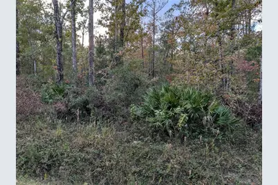 10655 Turpin Avenue, Hastings, FL 32145 - Photo 1