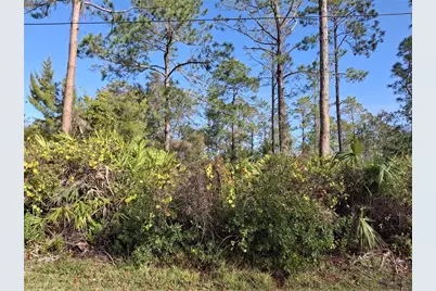 103 Wheatfield Drive, Palm Coast, FL 32164 - Photo 1