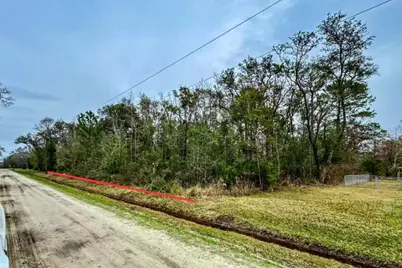 10230 Weatherby Avenue, Hastings, FL 32145 - Photo 3