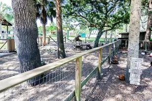 204 Virginia Ave, Steinhatchee, FL 32359 - Photo 51