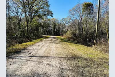 4790 Alvin Street, Hastings, FL 32145 - Photo 17