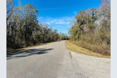 4790 Alvin Street, Hastings, FL 32145 - Photo 3