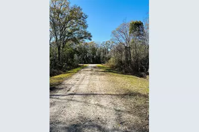 4790 Alvin Street, Hastings, FL 32145 - Photo 11