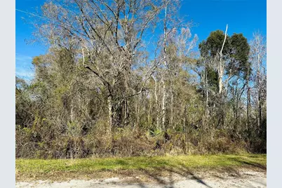 4790 Alvin Street, Hastings, FL 32145 - Photo 13