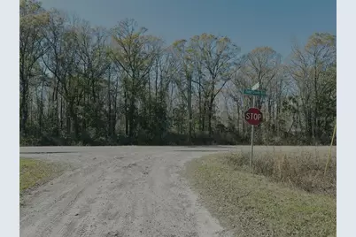 4790 Alvin Street, Hastings, FL 32145 - Photo 7