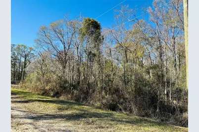 4790 Alvin Street, Hastings, FL 32145 - Photo 9