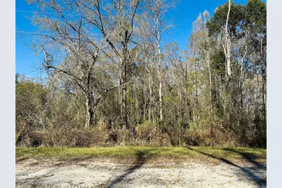 4790 Alvin Street, Hastings, FL 32145 - Photo 15