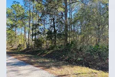 4315 Theresa Street, Hastings, FL 32145 - Photo 7