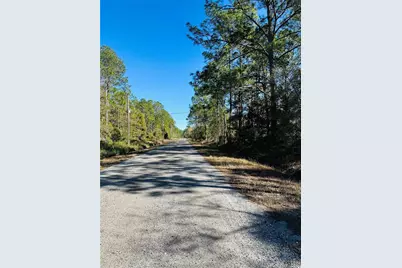 4315 Theresa Street, Hastings, FL 32145 - Photo 19