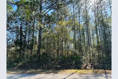 4315 Theresa Street, Hastings, FL 32145 - Photo 11