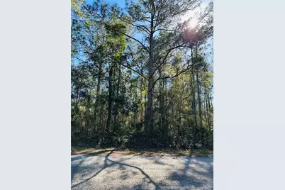 4315 Theresa Street, Hastings, FL 32145 - Photo 9