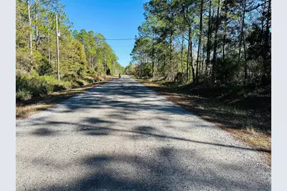 4315 Theresa Street, Hastings, FL 32145 - Photo 5