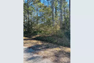 4315 Theresa Street, Hastings, FL 32145 - Photo 21