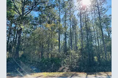 4315 Theresa Street, Hastings, FL 32145 - Photo 15