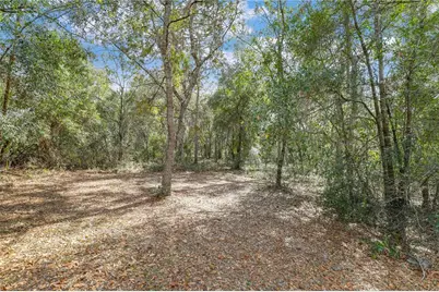 7120 Gas Line Road, Keystone Heights, FL 32656 - Photo 73