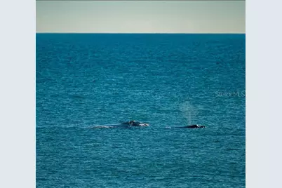 206 Monitor Drive, Flagler Beach, FL 32136 - Photo 31