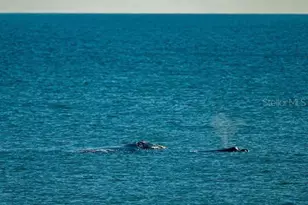 206 Monitor Dr, Flagler Beach, FL 32136 - Photo 31