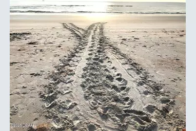 1415 Ocean Shore Boulevard #L1, Ormond Beach, FL 32176 - Photo 39