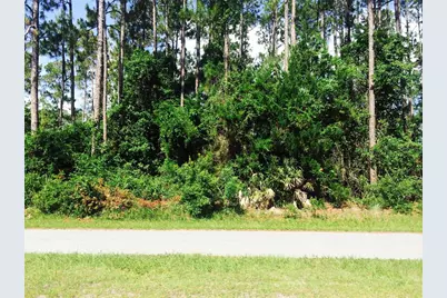 17 Kaufman Place, Palm Coast, FL 32164 - Photo 1