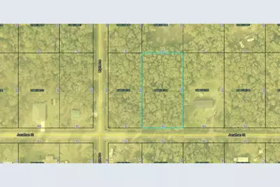 4590 Jonathan Street, Hastings, FL 32145 - Photo 9