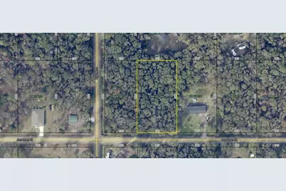 4590 Jonathan Street, Hastings, FL 32145 - Photo 5