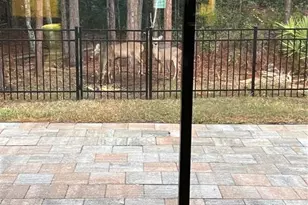 45 Lob Wedge Ln, Bunnell, FL 32110 - Photo 49