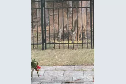 45 Lob Wedge Lane, Bunnell, FL 32110 - Photo 47