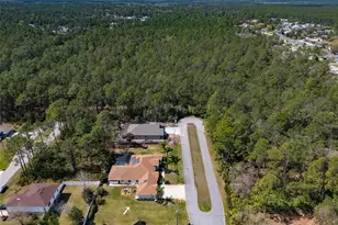 17 Sea Garden Path, Palm Coast, FL 32164 - Photo 55