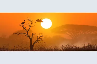 41 Cochise Court, Palm Coast, FL 32137 - Photo 25