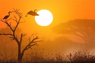 41 Cochise Ct, Palm Coast, FL 32137 - Photo 25