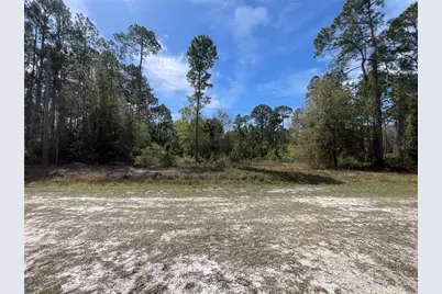 103 Rosewood Street, Georgetown, FL 32139 - Photo 3