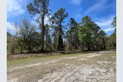 103 Rosewood Street, Georgetown, FL 32139 - Photo 7