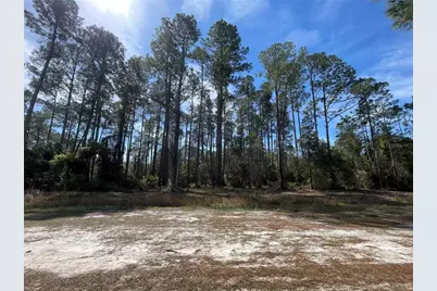 105 Rosewood Street, Georgetown, FL 32139 - Photo 1