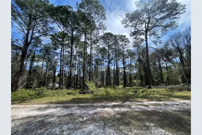 105 Rosewood Street, Georgetown, FL 32139 - Photo 3