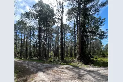 107 Rosewood Street, Georgetown, FL 32139 - Photo 1