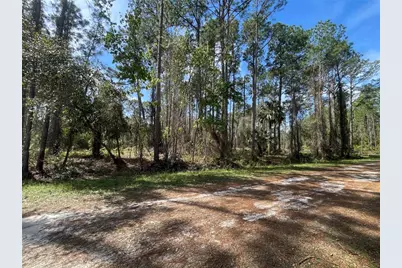 107 Rosewood Street, Georgetown, FL 32139 - Photo 3