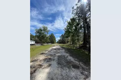 107 Rosewood Street, Georgetown, FL 32139 - Photo 5