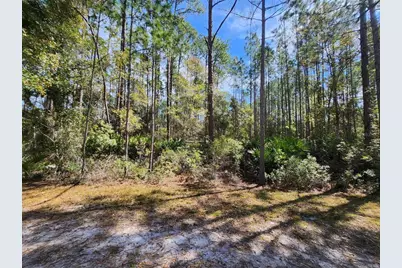 116 Mosswood Street, Georgetown, FL 32139 - Photo 3