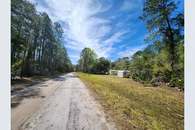 116 Mosswood Street, Georgetown, FL 32139 - Photo 5