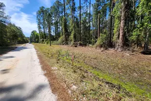 114 Mosswood St, Georgetown, FL 32139 - Photo 1