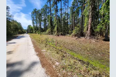 112 Mosswood Street, Georgetown, FL 32139 - Photo 1