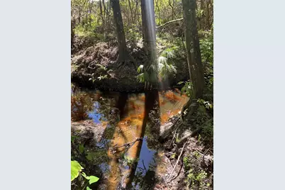 7265 Beach Road, Elkton, FL 32033 - Photo 59